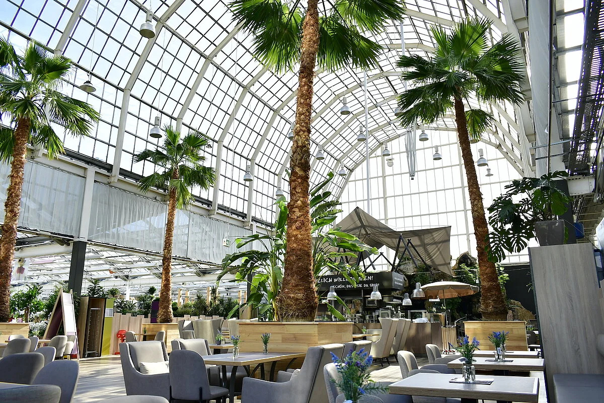 Top Date Ideen in Köln| Mr. Köln | Foto: Palmencafé